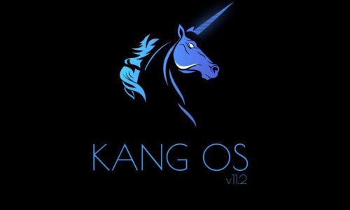 KangOS v11.3 R(11) For Redmi Note 7 Pro Violet