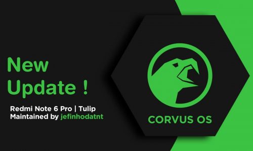 Corvus OS v13.0 R(11) For Redmi Note 6 Pro Tulip