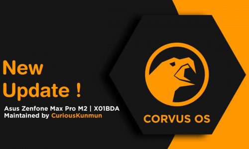 Corvus OS v14.0 R(11) For Asus ZenFone Max Pro M2 X01BD