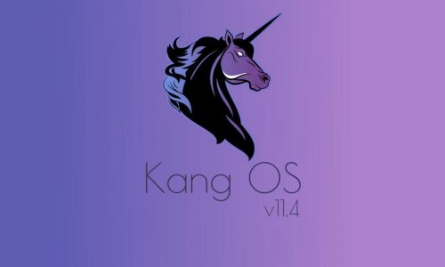 KangOS v11.4 R(11) For Mi A2 Sprout