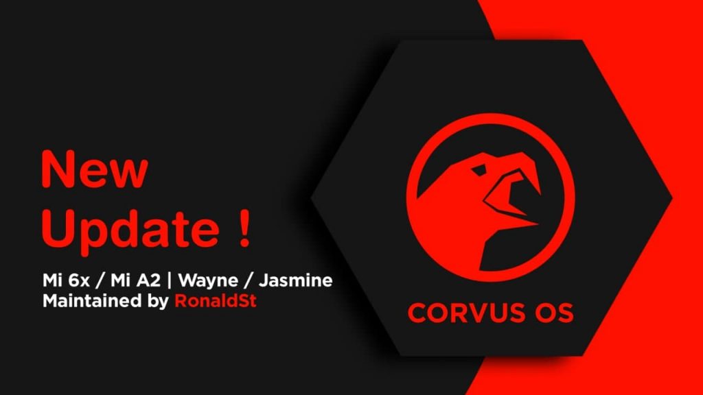 Corvus os