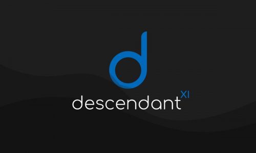 Descendant with Android 11 For Realme 2 Pro (RMX1801)