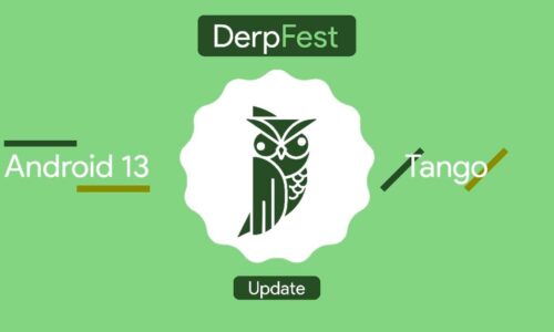 DerpFest with Android 13 For Mi 10T/10T Pro (Apollo)