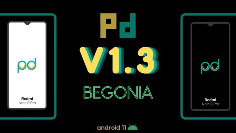 Palladium OS 1.3 Begonia