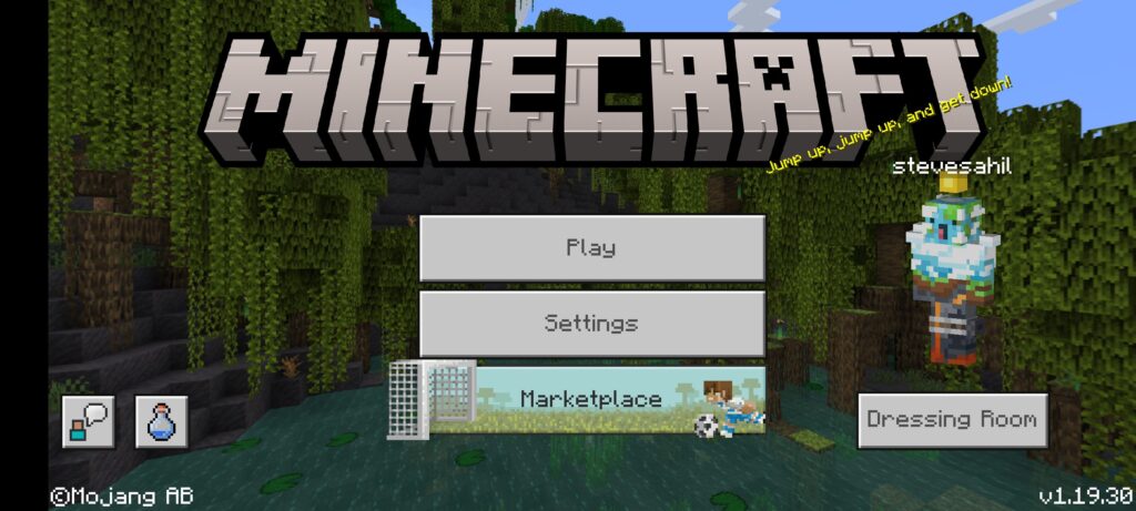 Before No Display Cutout